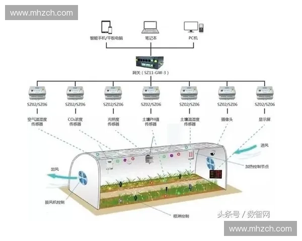 围绕压板速度优化提升木材加工生产效率与质量协同控制策略研究